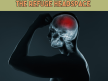 The Refuge Headspace – February 2025